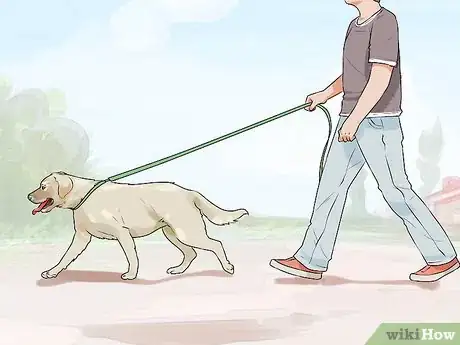 Imagen titulada Determine Whether to Diaper a Senior Dog Step 11