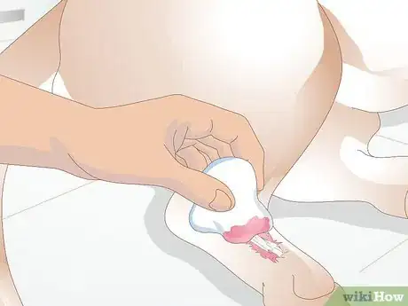 Imagen titulada Treat Broken Bones in Dogs Step 8