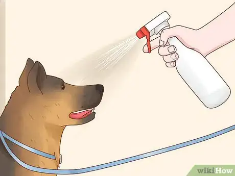 Imagen titulada Get a Dog to Stop Eating Dirt Step 12