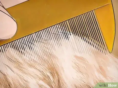 Imagen titulada Get Rid of Fleas on Rats Step 6