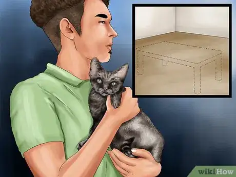 Imagen titulada Help a Cat Recover from Anesthesia Step 3