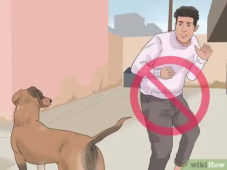 Imagen titulada Catch a Stray Dog Step 3