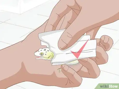 Imagen titulada Bathe a Leopard Gecko Step 5