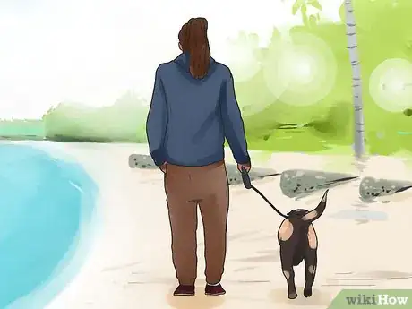 Imagen titulada Get Dogs to Mate Step 25