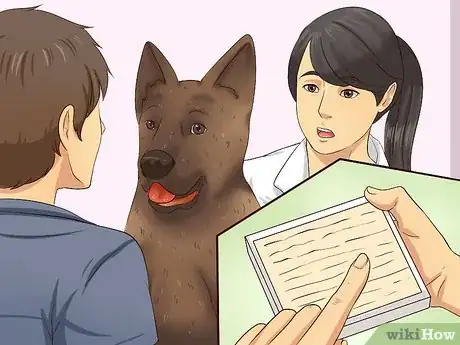 Imagen titulada Ease Your Dog's Stomach Problems Step 3