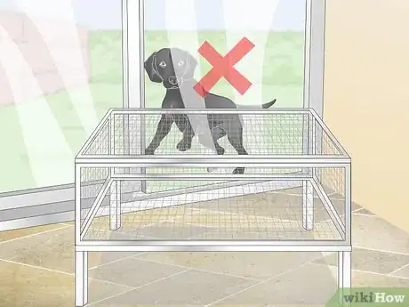 Imagen titulada Breed Quail Step 2