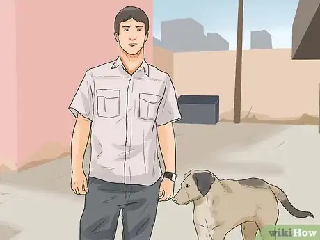 Imagen titulada Catch a Stray Dog Step 1