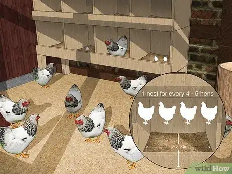 Imagen titulada Keep Chickens from Eating Their Own Eggs Step 1