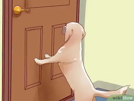 Imagen titulada Train a Guard Dog Step 14