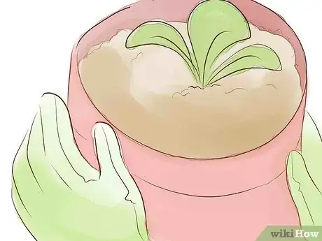 Imagen titulada Protect Your Garden During a Harsh Summer Step 7