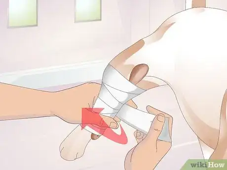 Imagen titulada Treat Broken Bones in Dogs Step 4