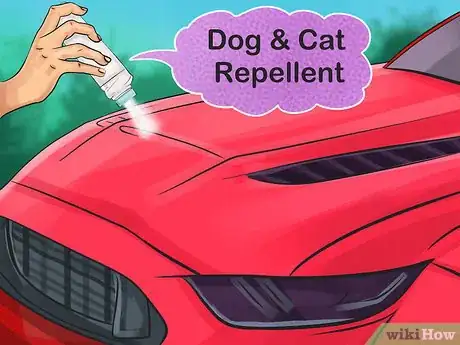 Imagen titulada Keep Cats Off Cars Step 2