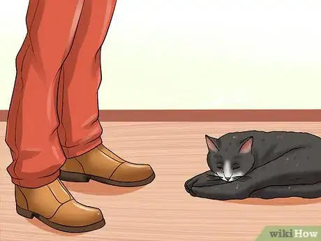 Imagen titulada Care for Indoor Cats Step 9