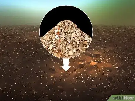Imagen titulada Increase Nitrogen in Soil Step 11