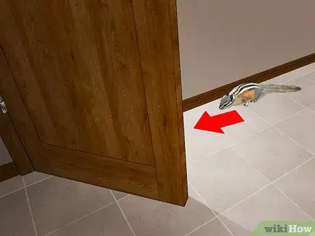 Imagen titulada Get Rid of Chipmunks Step 15