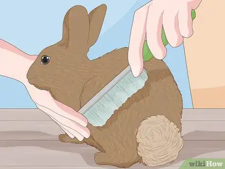 Imagen titulada Care for a New Pet Rabbit Step 9