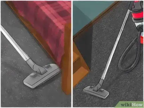 Imagen titulada Get Rid of Fleas in Carpets Step 1