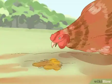 Imagen titulada Tell if a Chicken is Sick Step 4