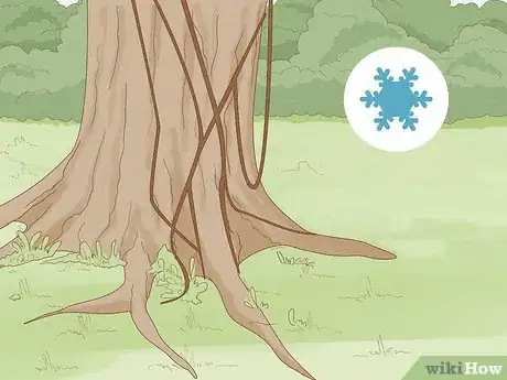 Imagen titulada Identify Poison Ivy Step 7