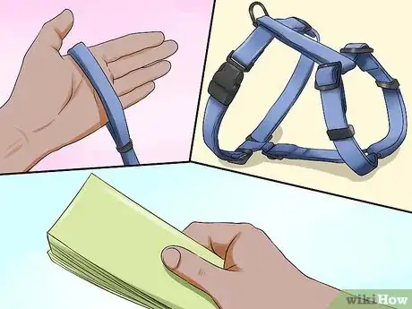 Imagen titulada Train Dachshunds Step 13