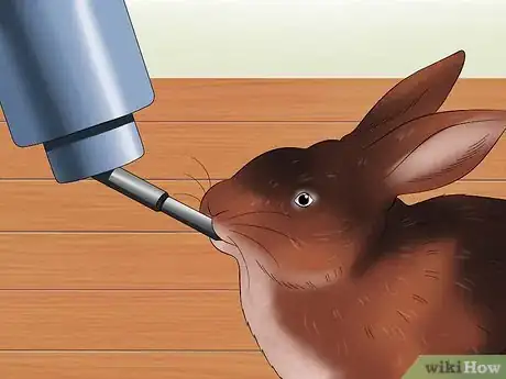 Imagen titulada Care for Rex Rabbits Step 14
