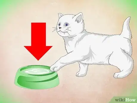 Imagen titulada Make a Kitten Like Water Step 3