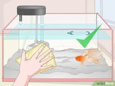 Imagen titulada Fix Scratches on an Aquarium Step 10