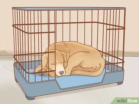 Imagen titulada Care for Dogs Step 15