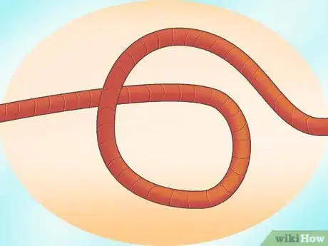 Imagen titulada Braid Rope Step 21