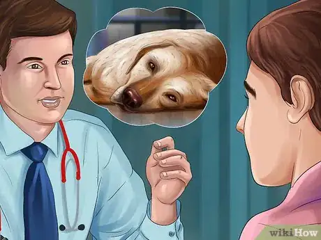Imagen titulada Gauge Your Senior Dog's Quality of Life Step 15