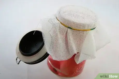 Imagen titulada Infuse Vodka With Watermelon Step 13