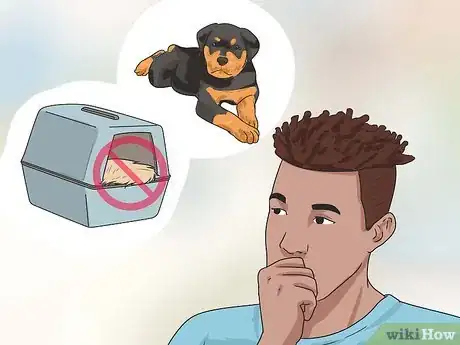 Imagen titulada Bring a Dog Into the United States Step 6