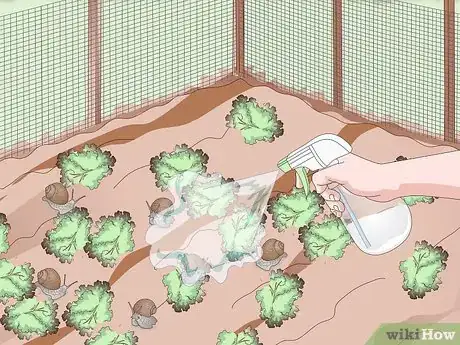 Imagen titulada Snail Farm Step 16