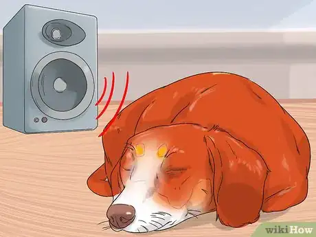 Imagen titulada Handle a Dog's Nightmares Step 4