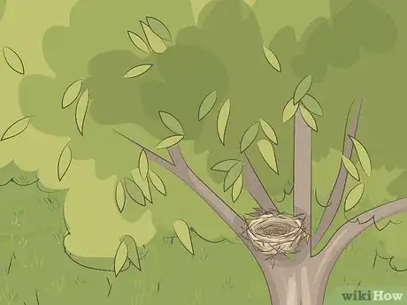 Imagen titulada Make a Bird Nest Step 10
