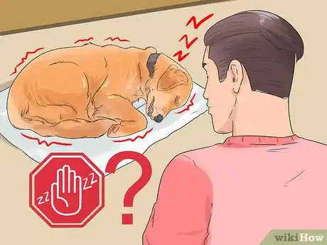 Imagen titulada Handle a Dog's Nightmares Step 1