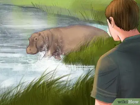 Imagen titulada Deal With a Hippo Encounter Step 6