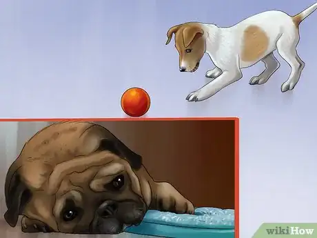 Imagen titulada Gauge Your Senior Dog's Quality of Life Step 13
