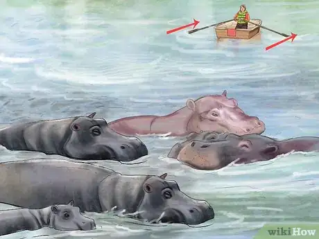 Imagen titulada Deal With a Hippo Encounter Step 1
