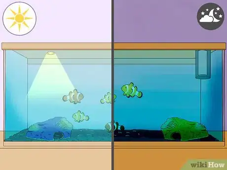 Imagen titulada Care for a Clown Fish Step 11