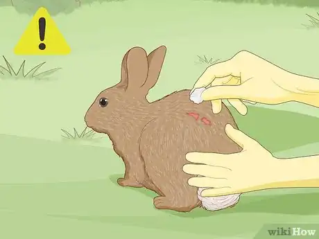 Imagen titulada Care for an Injured Rabbit Step 11