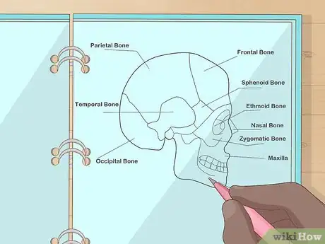 Imagen titulada Study for Biology Step 4