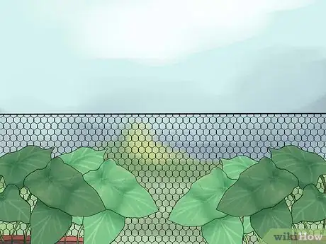 Imagen titulada Avoid Poisoning Your Guinea Pig Step 7