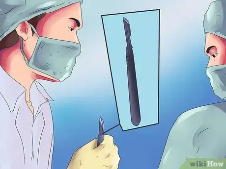 Imagen titulada Dissect a Frog Step 2