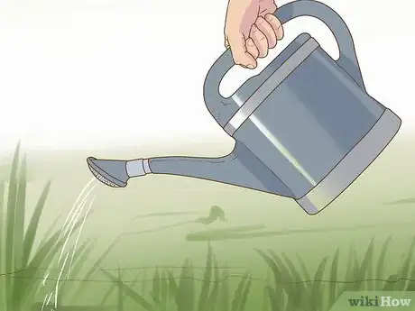 Imagen titulada Make a Putting Green Step 13