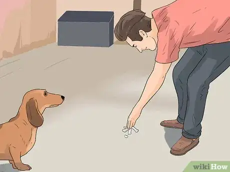 Imagen titulada Catch a Stray Dog Step 5