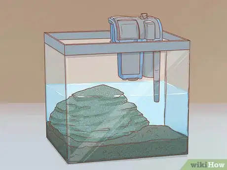 Imagen titulada Care for Turtles Step 7