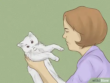 Imagen titulada Make a Homemade Cat Spa Step 10