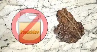 deshacerte de los sapos del jardín