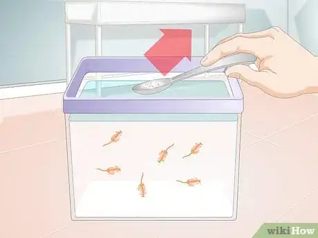 Imagen titulada Care for Sea Monkeys Step 11